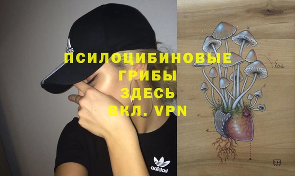 соль ск Балабаново